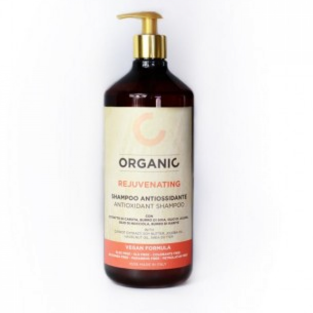 VEGAN Formula Organic Antioxidant Shampoo - Органический шампунь тонизирующий для всех типов, 1000 мл
