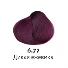 Color Oil Краска для волос 6.77 – Дикая ежевика, 125 мл