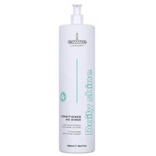 Raywell Envie Daily Shine Leave-In Conditioner Кондиционер несмываемый, 500 мл