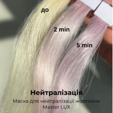 Master LUX Professional Anti-yellow Mask – Маска для нейтрализации желтизны, 1000 мл