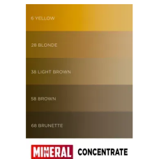 The Mineral Concentrate Пигмент для перманентного макияжа #38 Light Brown, 11 мл