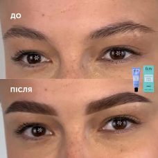 Elan Гель-краска для бровей Neutral Brown, 20 мл