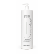 Raywell Envie Flakes Control Anti-Dandruff Shampoo Шампунь против перхоти, 1000 мл