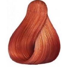 Wella Koleston Perfect 8/43 Глод, 60 мл